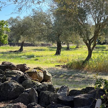 Muristene Pozzo Santa Cristina Paulilatino Екстер'єр фото