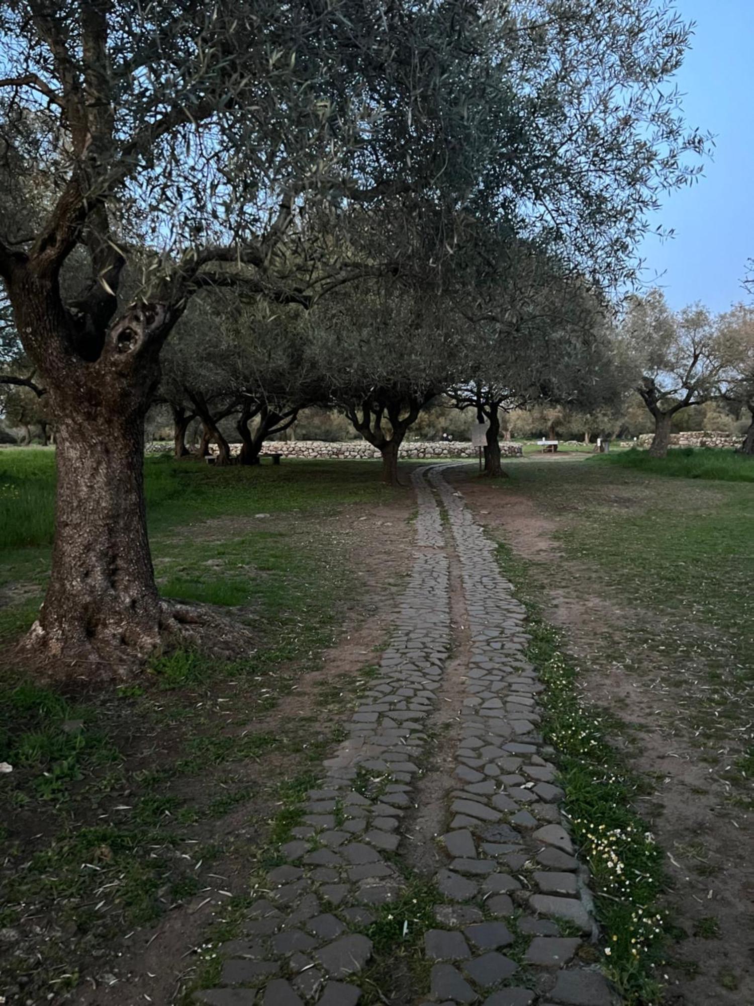 Muristene Pozzo Santa Cristina Paulilatino Екстер'єр фото