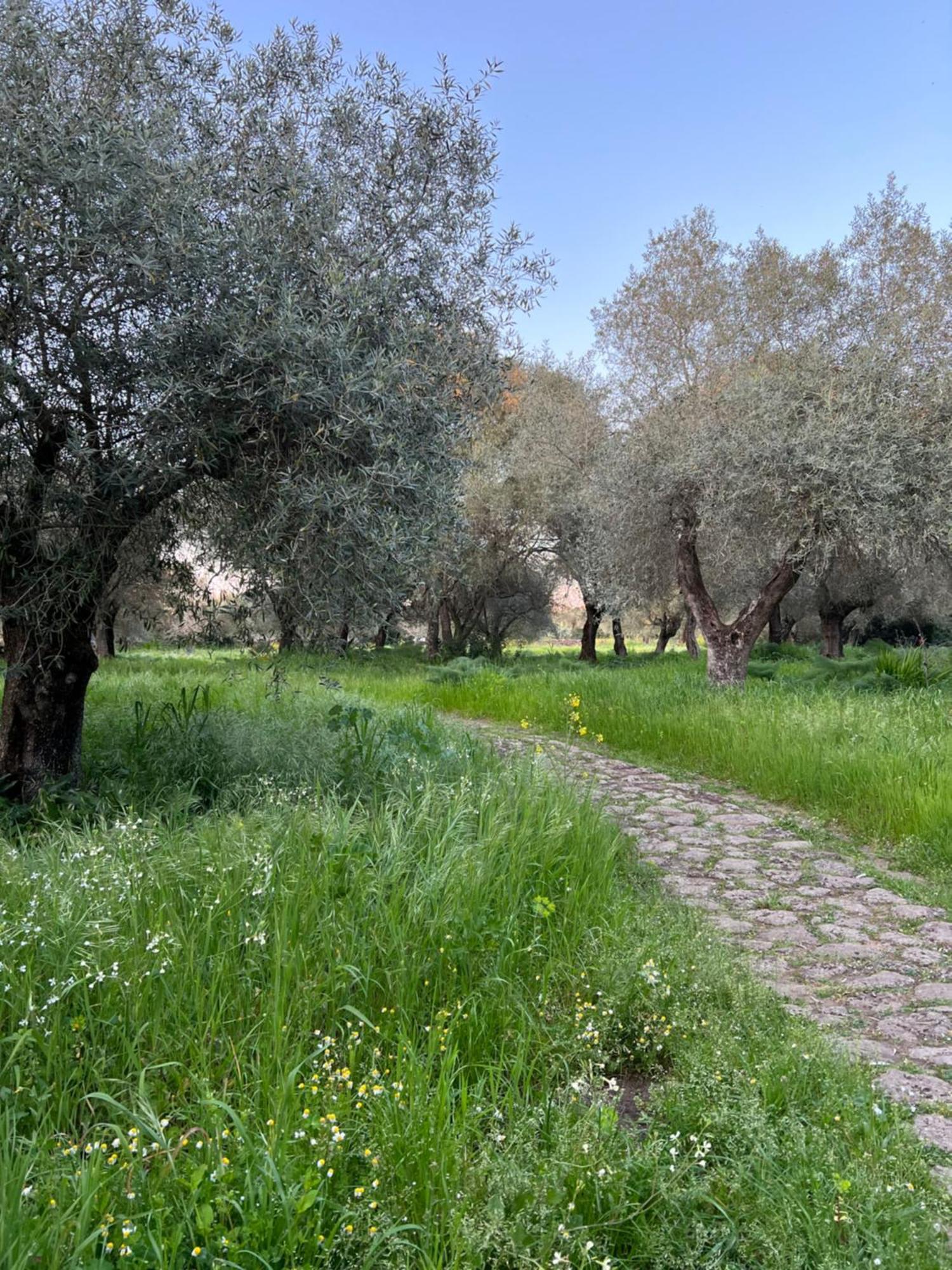 Muristene Pozzo Santa Cristina Paulilatino Екстер'єр фото