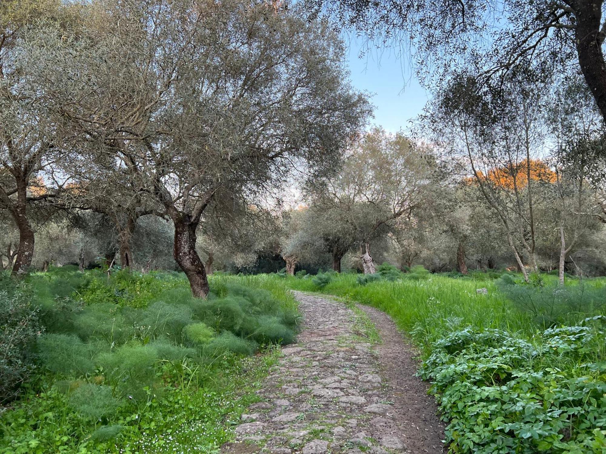 Muristene Pozzo Santa Cristina Paulilatino Екстер'єр фото